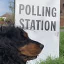 Dogs at polling stations local elections 2023 (image: Chris Caulfield)