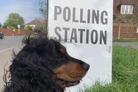 Dogs at polling stations local elections 2023 (image: Chris Caulfield)