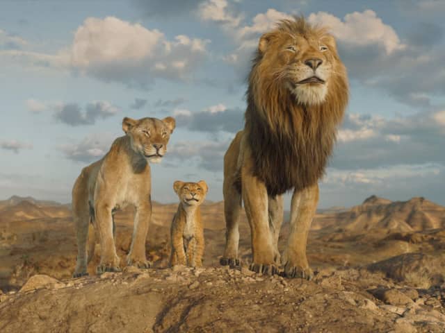 Afia (voiced Anika Noni Rose), Young Mufasa (voiced by Braelyn Rankins) and Masego (voiced by Keith David) in Disney’s Mufasa: The Lion King.  Photo courtesy of Disney.