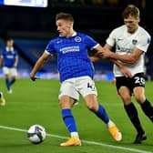 Victor Gyokeres was given few chances to shine at Brighton