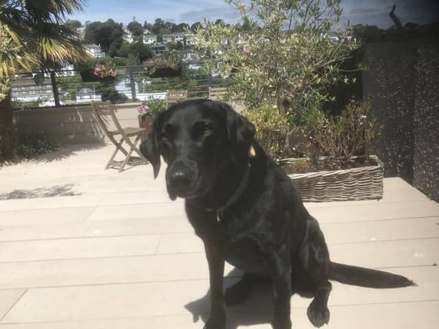 Millie is fighting fit again after swallowing a fish hook.
